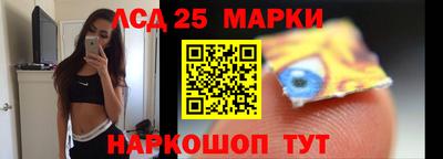 хмурый Сланцы